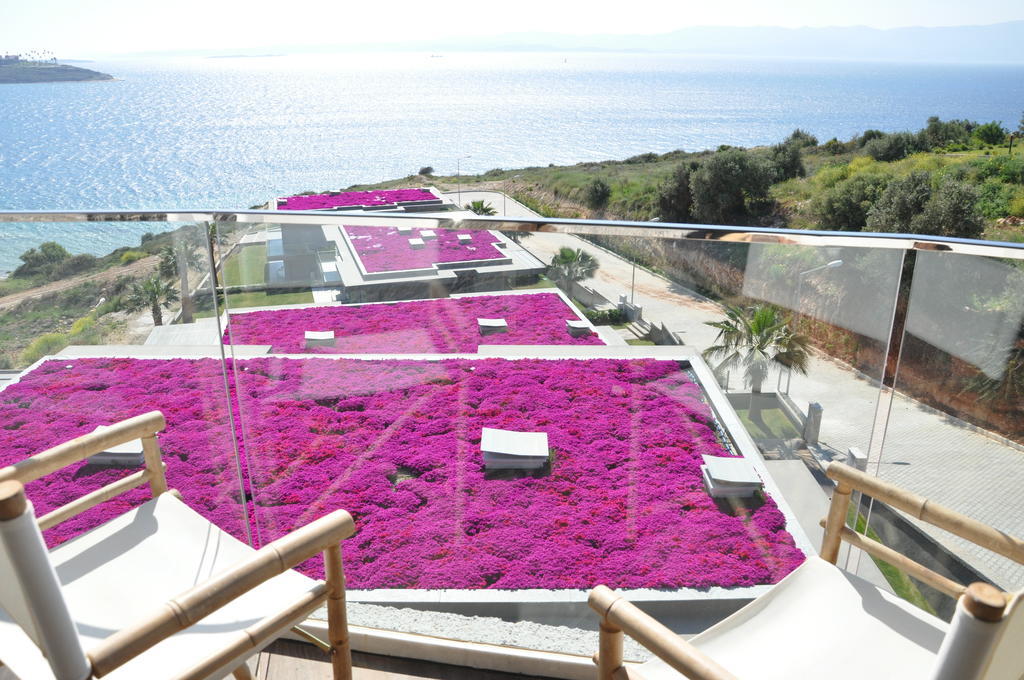Sato Design Hotel (Adults Only) Çeşme الغرفة الصورة