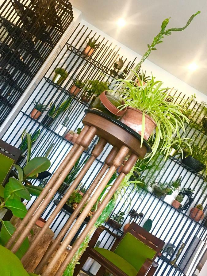 Sato Design Hotel (Adults Only) Çeşme المظهر الخارجي الصورة